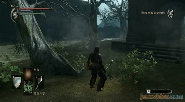 Demon's Souls : Premier pas