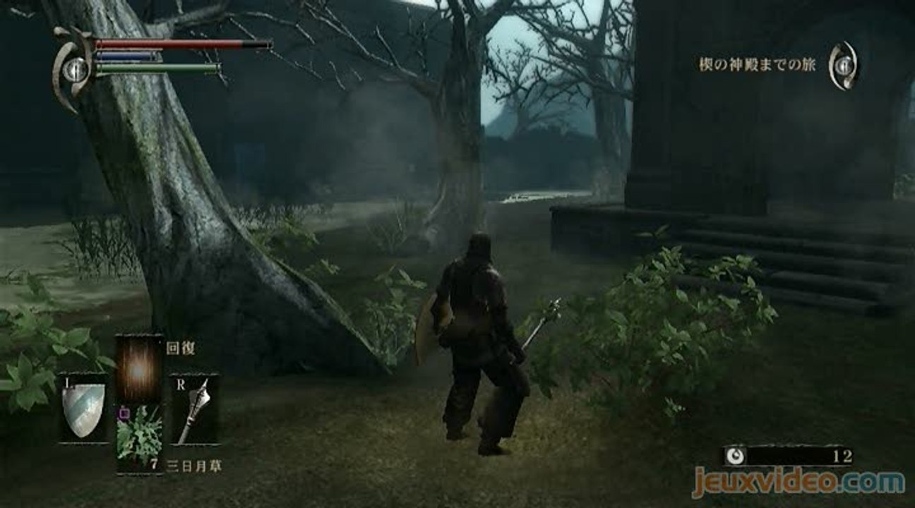 Demon's Souls : Premier pas