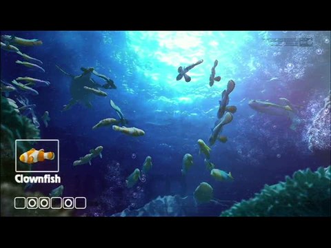 Let's Tap : Séquences variées