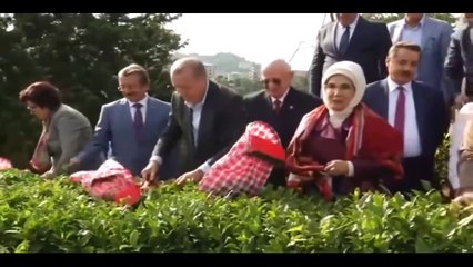 Cemil Çiçek’ten yargıç eleştirisi! Çay, zeytin toplamaya bile gidiyorlar