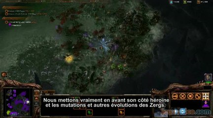 Starcraft II : Heart of the Swarm : Campus de Blizzard