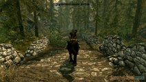 The Elder Scrolls V : Skyrim : Un voyage mouvementé