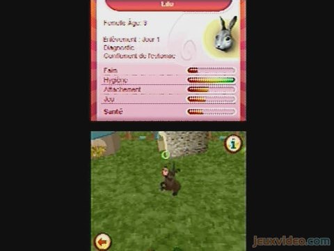 SOS Animaux : Devenez vétérinaire