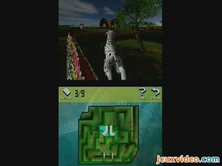 Mon Ami le Chiot : Course d'orientation