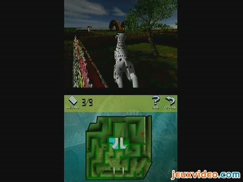 Mon Ami le Chiot : Course d'orientation