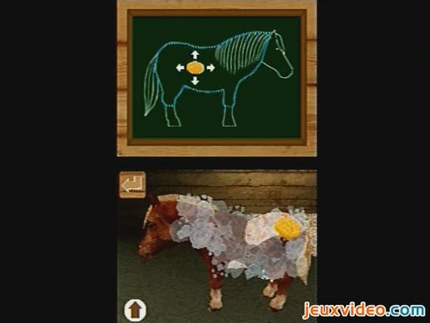 Mon Ami le Poney : Le poney de vos rêves