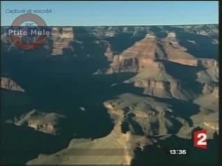 Le grand Canyon restaure son éco-système