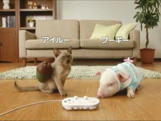 Monster Hunter G : Comme cochon et chat 3