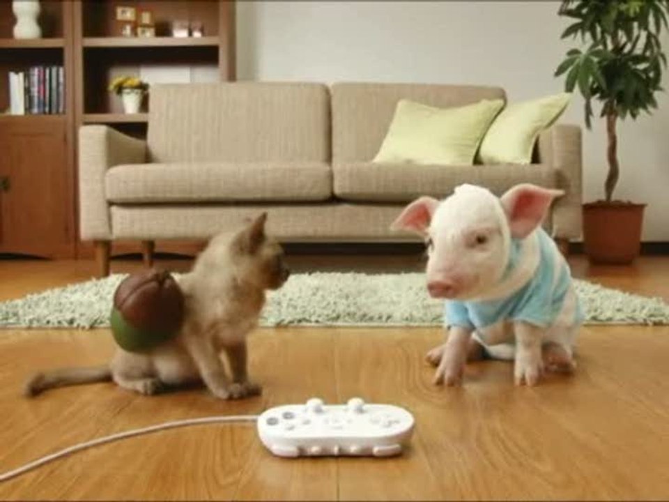 Monster Hunter G : Comme cochon et chat 4