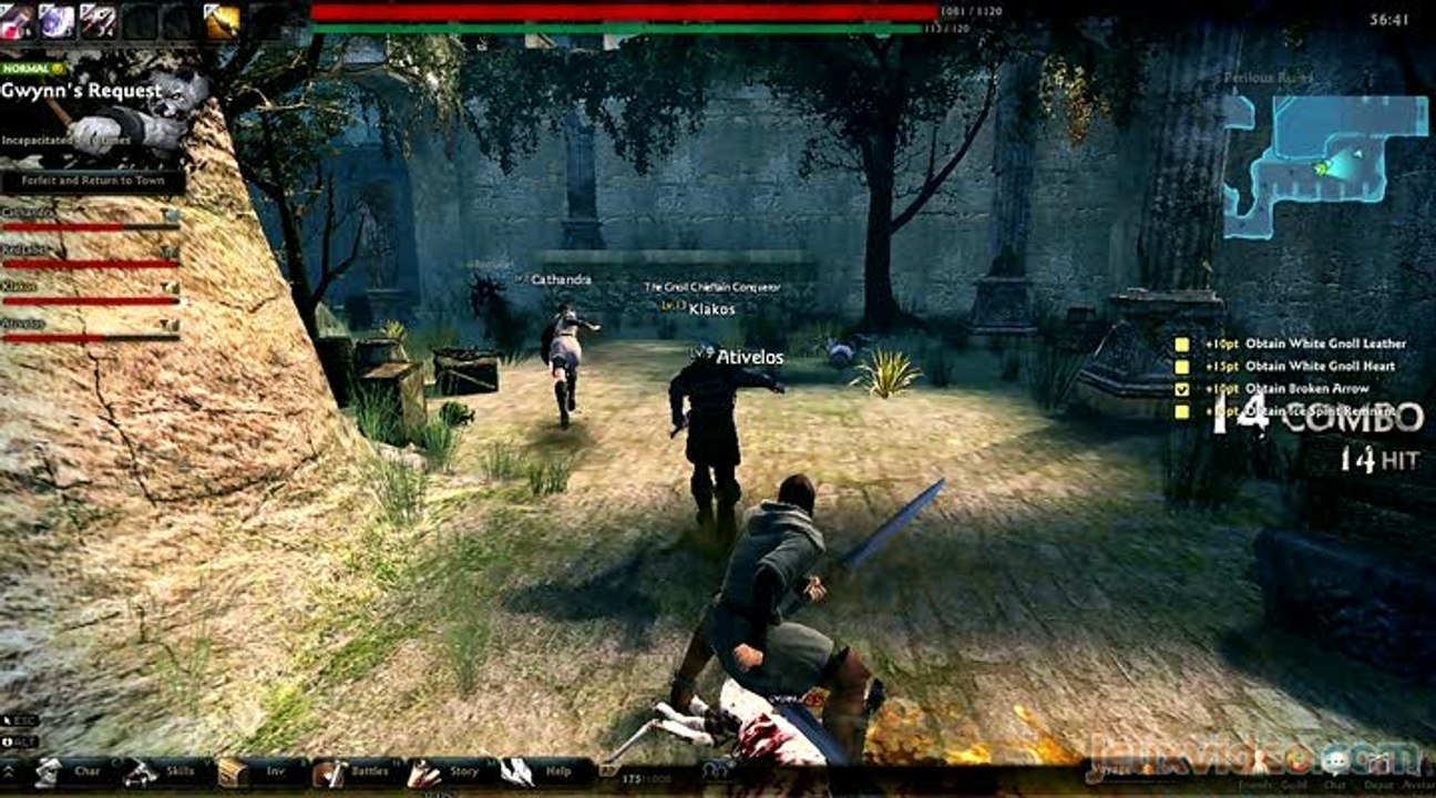 Vindictus : De l'action à plusieurs