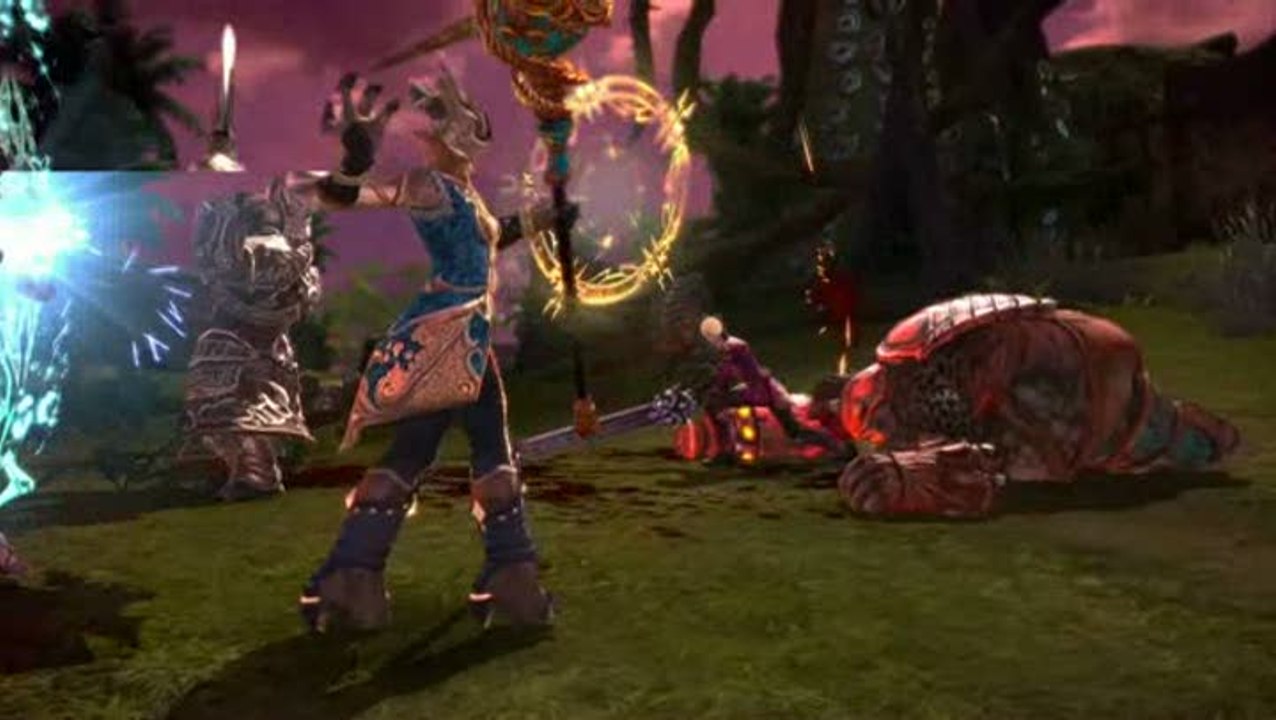 TERA : Le Prêtre en action