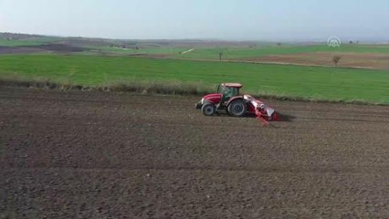Türkiye'nin önemli ayçiçeği üretim merkezlerinden Edirne'de ekim mesaisi başladı