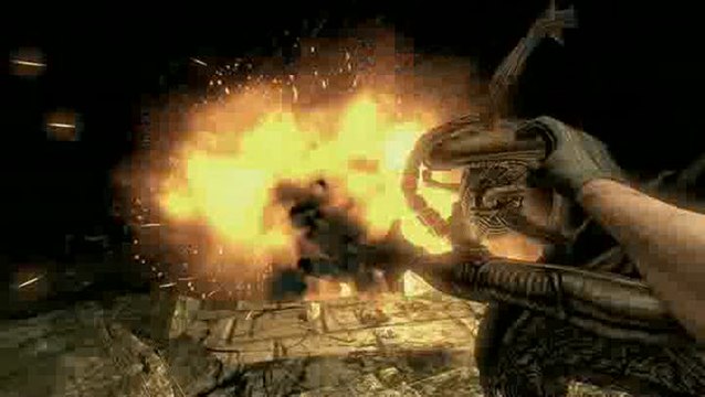 Aliens vs Predator : Mode Survivor