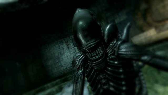 Aliens vs Predator : Trailer de lancement
