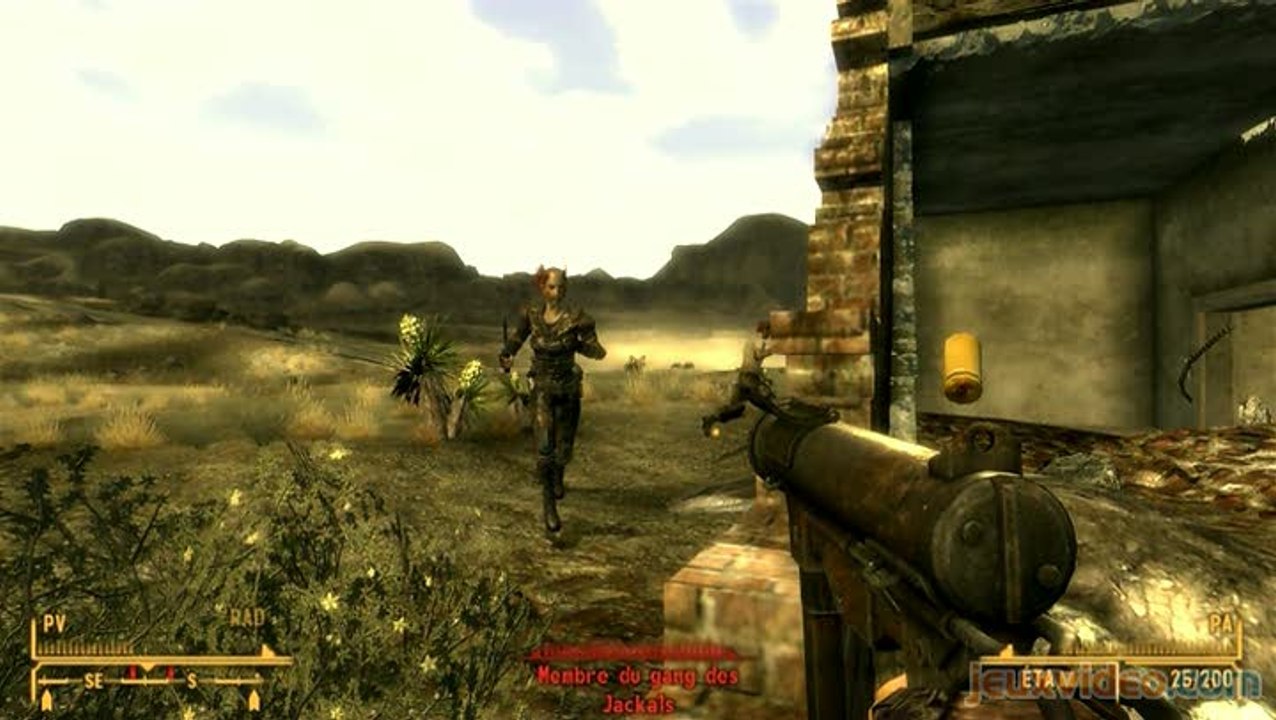 Fallout New Vegas : Raiders
