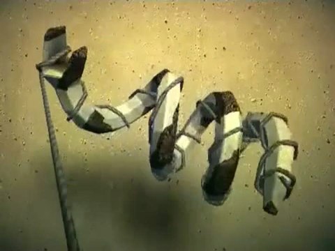 Zen Bound : Trailer zen