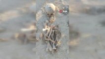 Azerbaycan'da 3 insan iskeleti bulundu