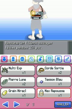 Pokémon Version Or : HeartGold : Menus