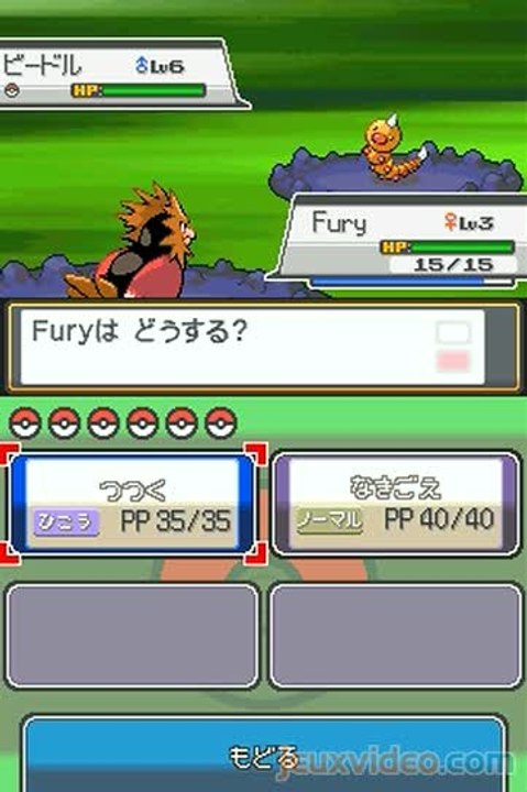 Pokémon Version Or : HeartGold : Promenons-nous dans les bois