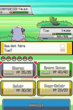 Pokémon Version Or : HeartGold : Parc Naturel