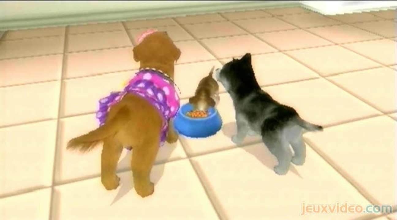 Petz : Ma Famille Chiots : Pause repas