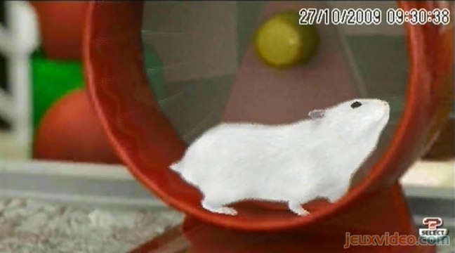 Petz : Ma Famille Hamsters : Les aventures d'un hamster