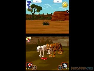 World of Zoo : De gros chats
