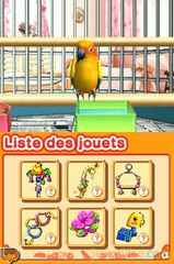 Mon Ami le Perroquet : Comme il est mignon