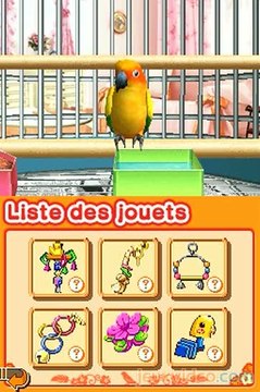 Mon Ami le Perroquet : Comme il est mignon