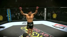 EA Sports MMA : Cung Lee