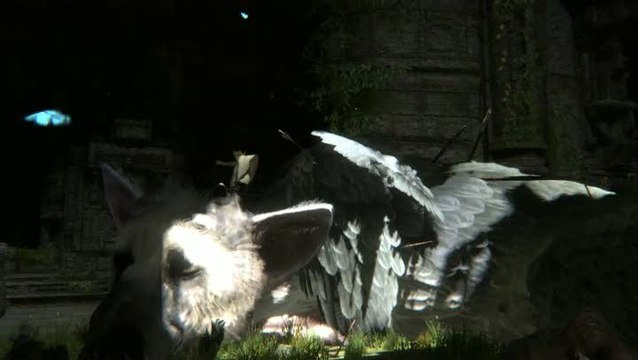 The Last Guardian : TGS 2010 : Trailer