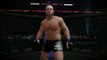 EA Sports MMA : Brett Rogers vs. Fedor Emelianenko