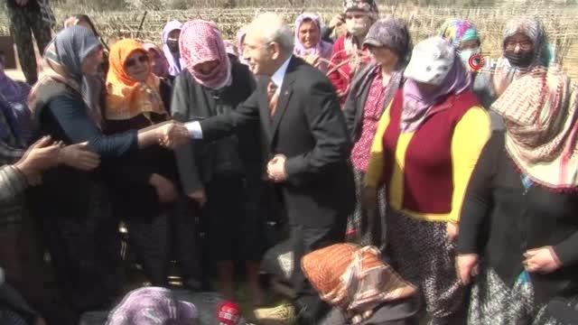 Kılıçdaroğlu, kadın çiftçilerle bağda bir araya geldi