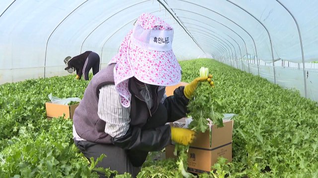 [경기] 월급 받는 농민 늘어난다...경기도 농민 기본소득 확대 / YTN