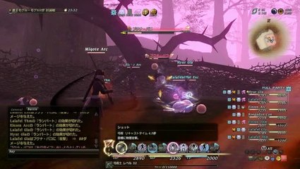 Final Fantasy XIV Online : Le Roi Moggle Mog XII