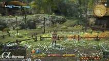 Final Fantasy XIV Online : Gridania - Alpha Version Gameplay
