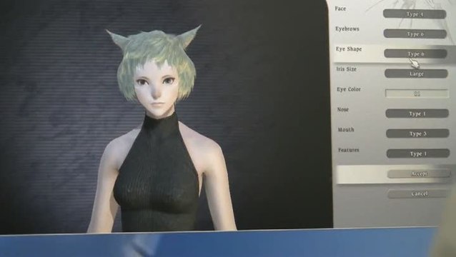 Final Fantasy XIV Online : Création de l'avatar