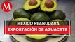 APEAM presenta avances para restablecer exportación de aguacate a EU