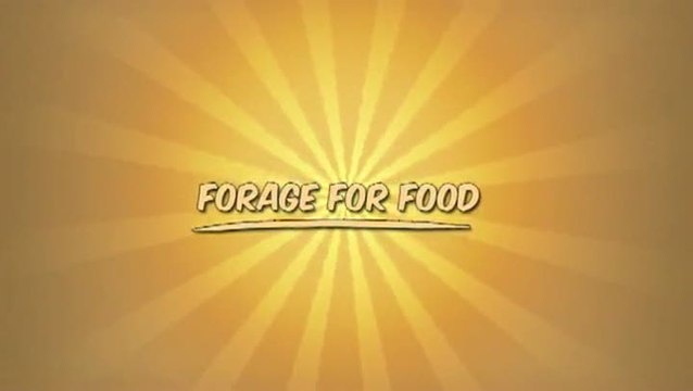 Lead the Meerkats : Leçon n°2