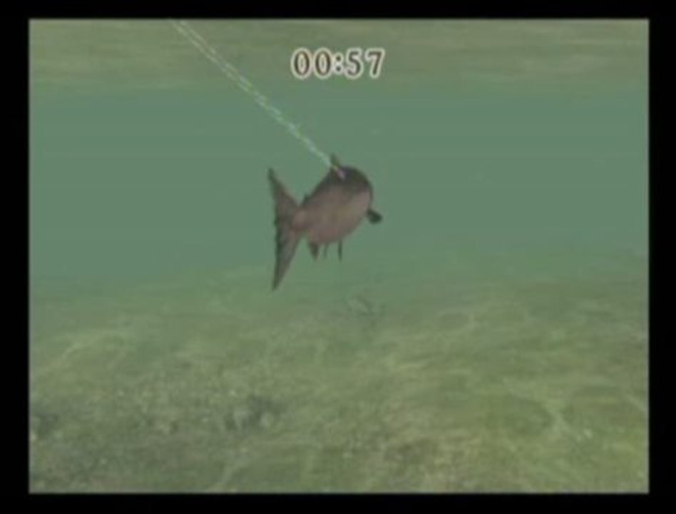 Reel Fishing Challenge : Moment de détente