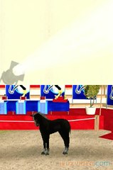 Real Stories : Mon Poulain, Mon Cheval : Préparer son poulain