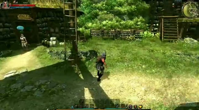 Continent of the Ninth Seal : Un MMO free-to-play orienté action