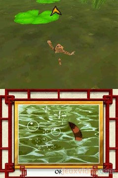 Legend of Kay : Marécage des Grenouilles