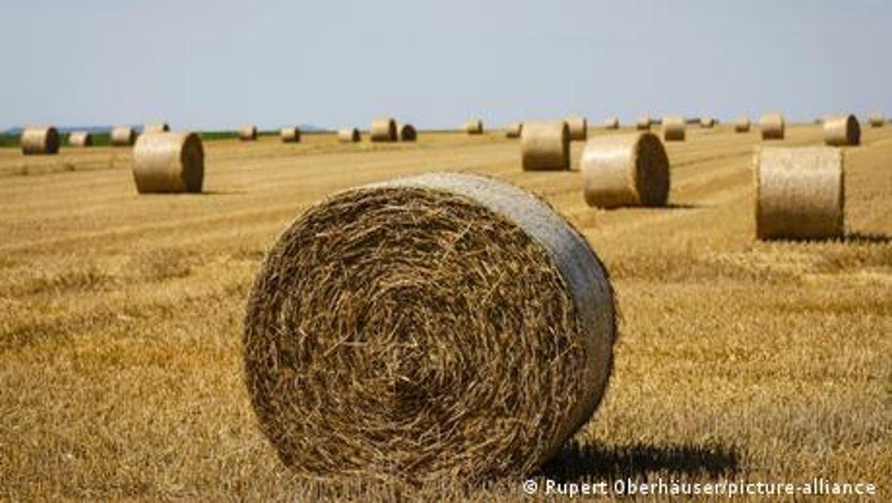 Ukraine-Krieg gefährdet die Ernährungssicherheit