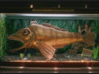 10e royaume II partie 3