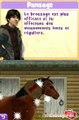 Pony Friends 2 : Balade à cheval