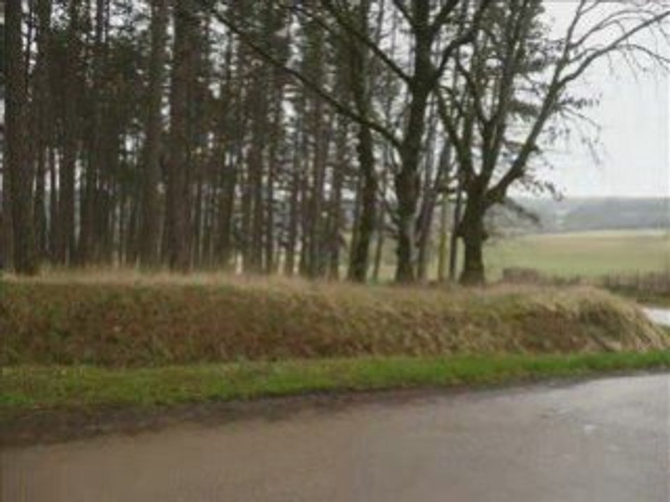 8-marche Armes-Lichères-Asnières-Armes du 8 mars 2008