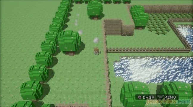 3D Dot Game Heroes : Course folle