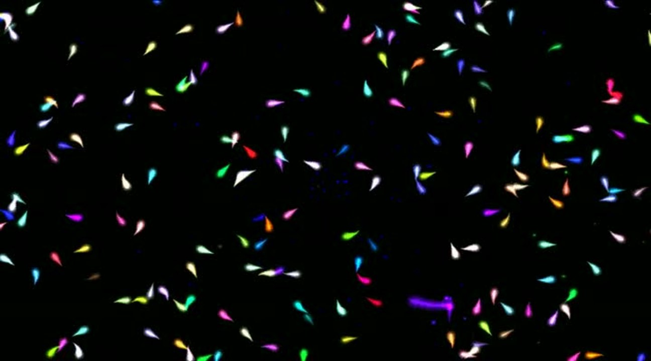 Particle : Trailer