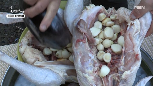 [자연 밥상] 닭 잡는 자연인! 산에서 얻은 재료 넣고 끓인 보양식 닭백숙